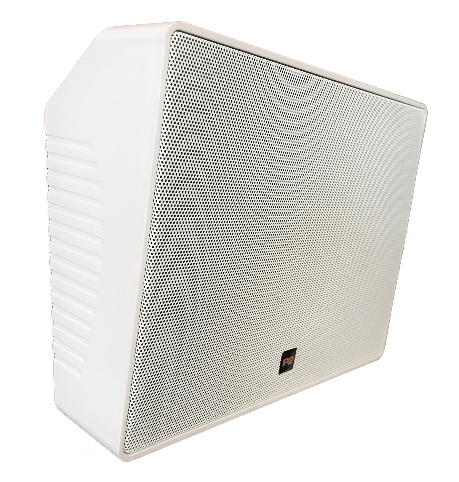 Nástěnný dvoupásmový reproduktor 100V P2 Ars 391