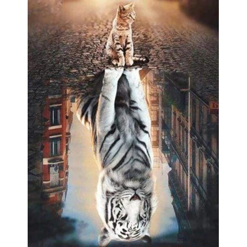 Diamantové malování - KOČIČÍ ODLESK VE MĚSTĚ bez rámu 40 x 50 cm