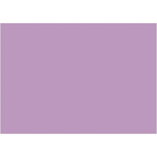 PĚNOVKA EVA 10 ks lila