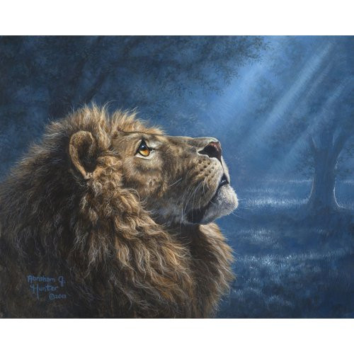 Malování podle čísel - LEV A TLUMENNÉ SVĚTLO bez rámu 40 x 50 cm