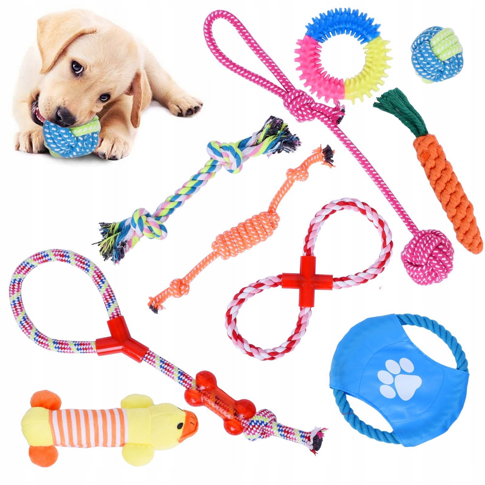Sada 10 hraček pro psy Sergio přetahovadla