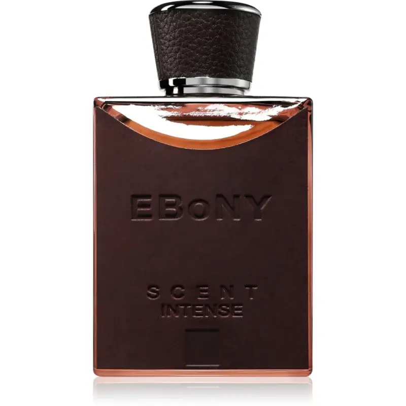 Fragrance World Ebony Scent Intense parfémovaná voda pro muže 100 ml