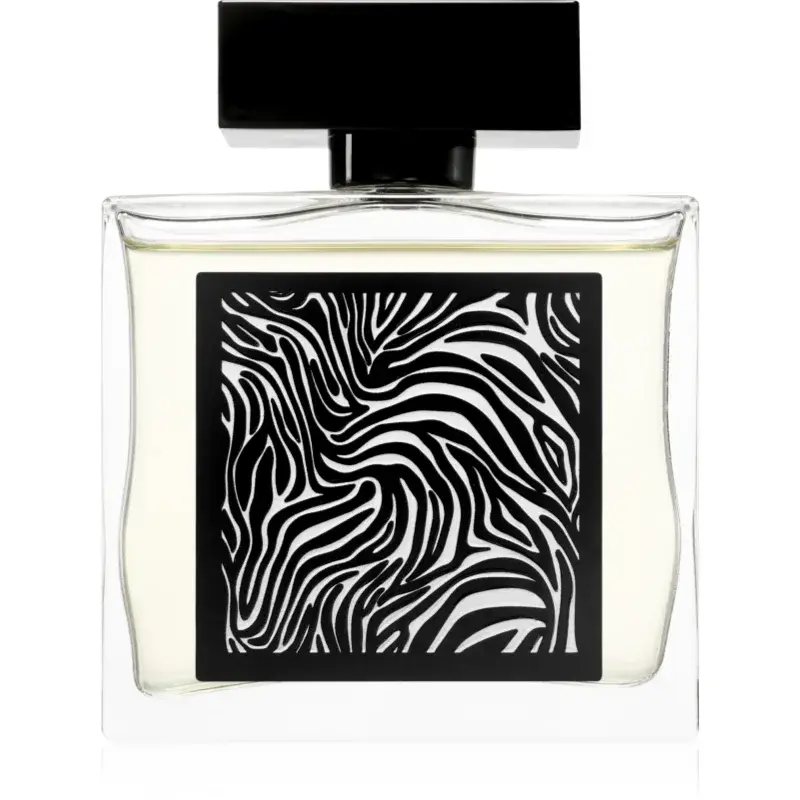 Fragrance World Encrypt parfémovaná voda pro muže 85 ml