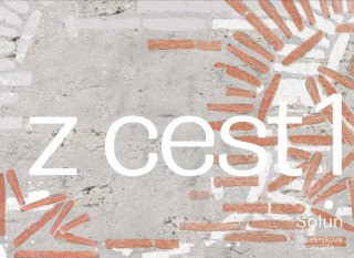 Zápisky z cest 1 - Zuzana Frantová, Ivan Foletti, Monika Kučerová - e-kniha