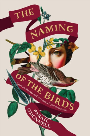 The Naming of the Birds - Paraic O'Donnell
