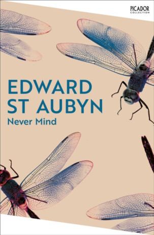 Never Mind - Edward St. Aubyn
