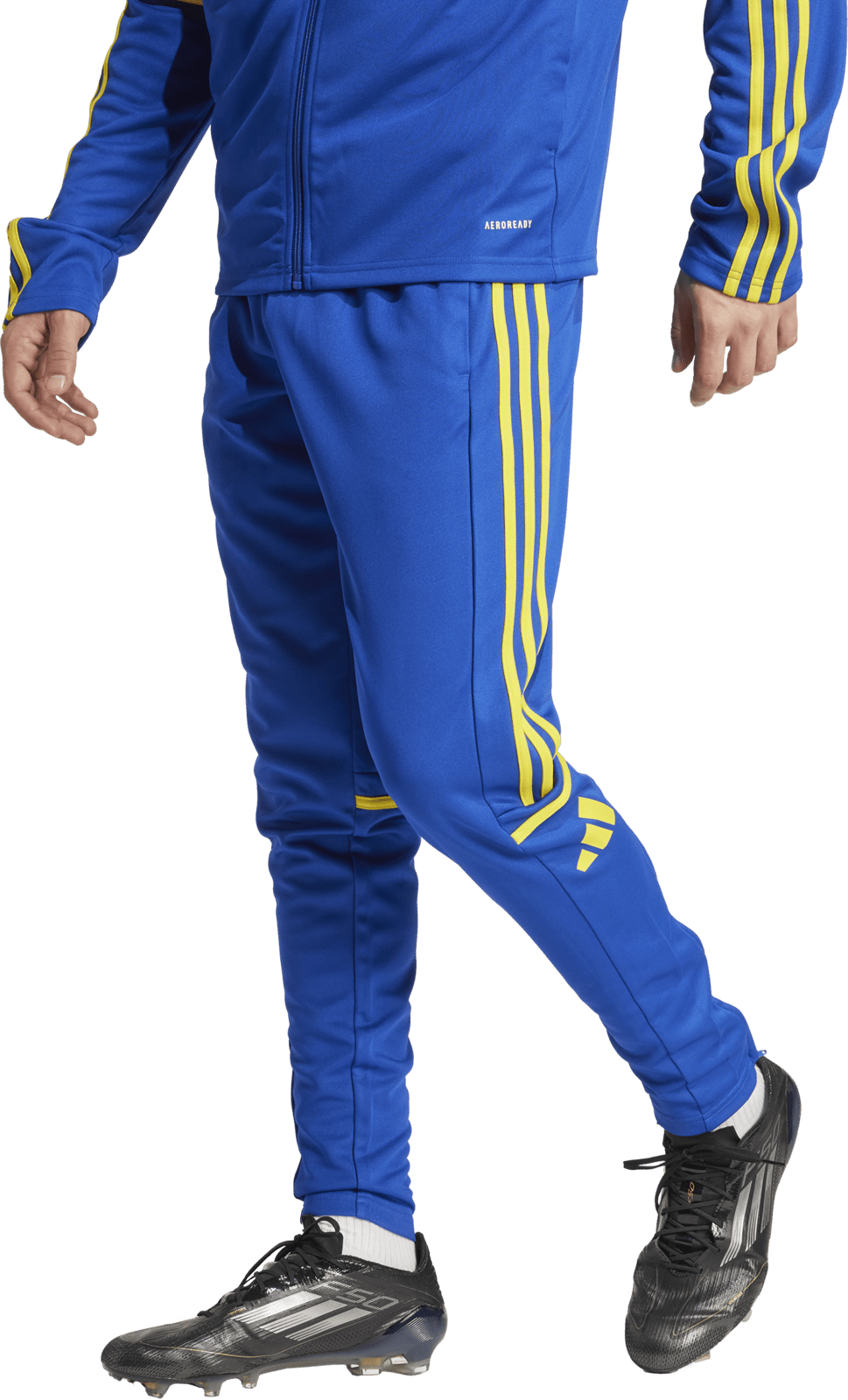 Kalhoty adidas SQUADRA25 TR PNT