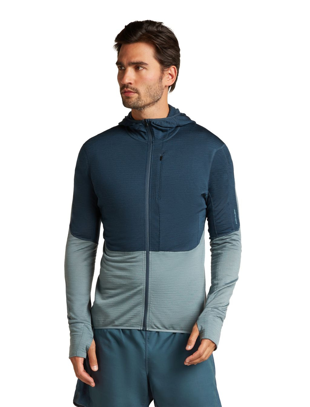 ICEBREAKER Mens Mer 200 Realfleece Descender LS Zip H, Abyss/Blue Ash/Cb (vzorek) velikost: M