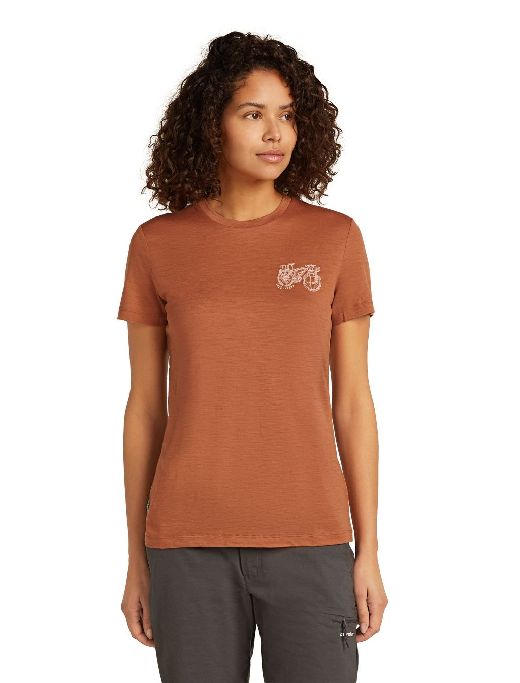 ICEBREAKER W 150 Tech Lite SS Tee Adventure Rid, Dusty Clay velikost: L