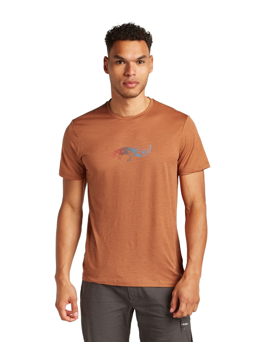 ICEBREAKER Mens Mer 150 Tech Lite SS Tee Slimey Salama, Dusty Clay (vzorek) velikost: M