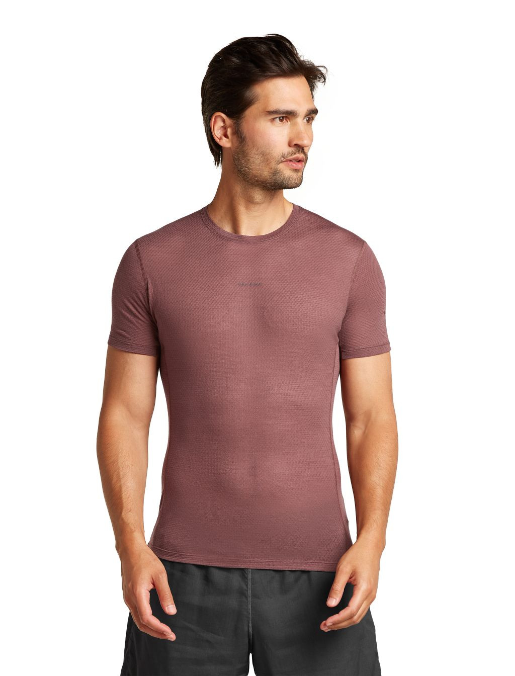 ICEBREAKER M 75 Cool-Lite Featherlight SS Crewe, Carob velikost: L