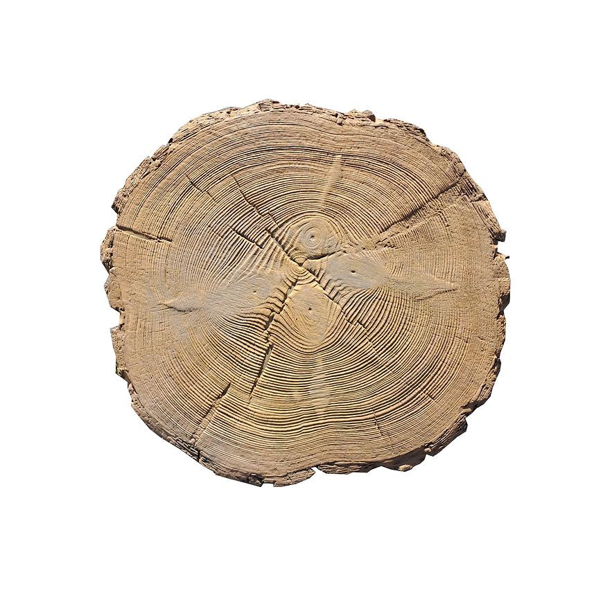 BETONOVÁ DLAŽBA PAŘEZ S KŮROU FI 32-37 CM