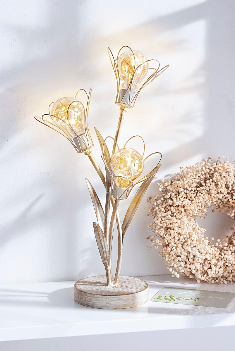 Weltbild LED světelná dekorace Květiny