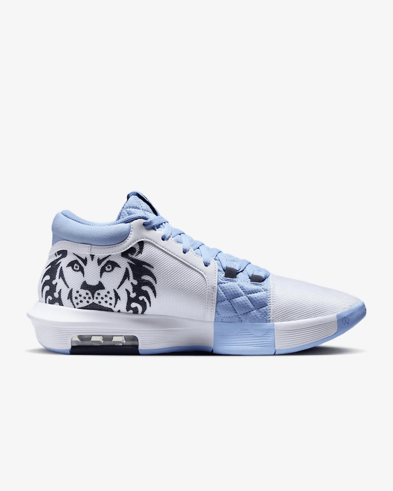 Jordan LEBRON WITNESS VIII 43