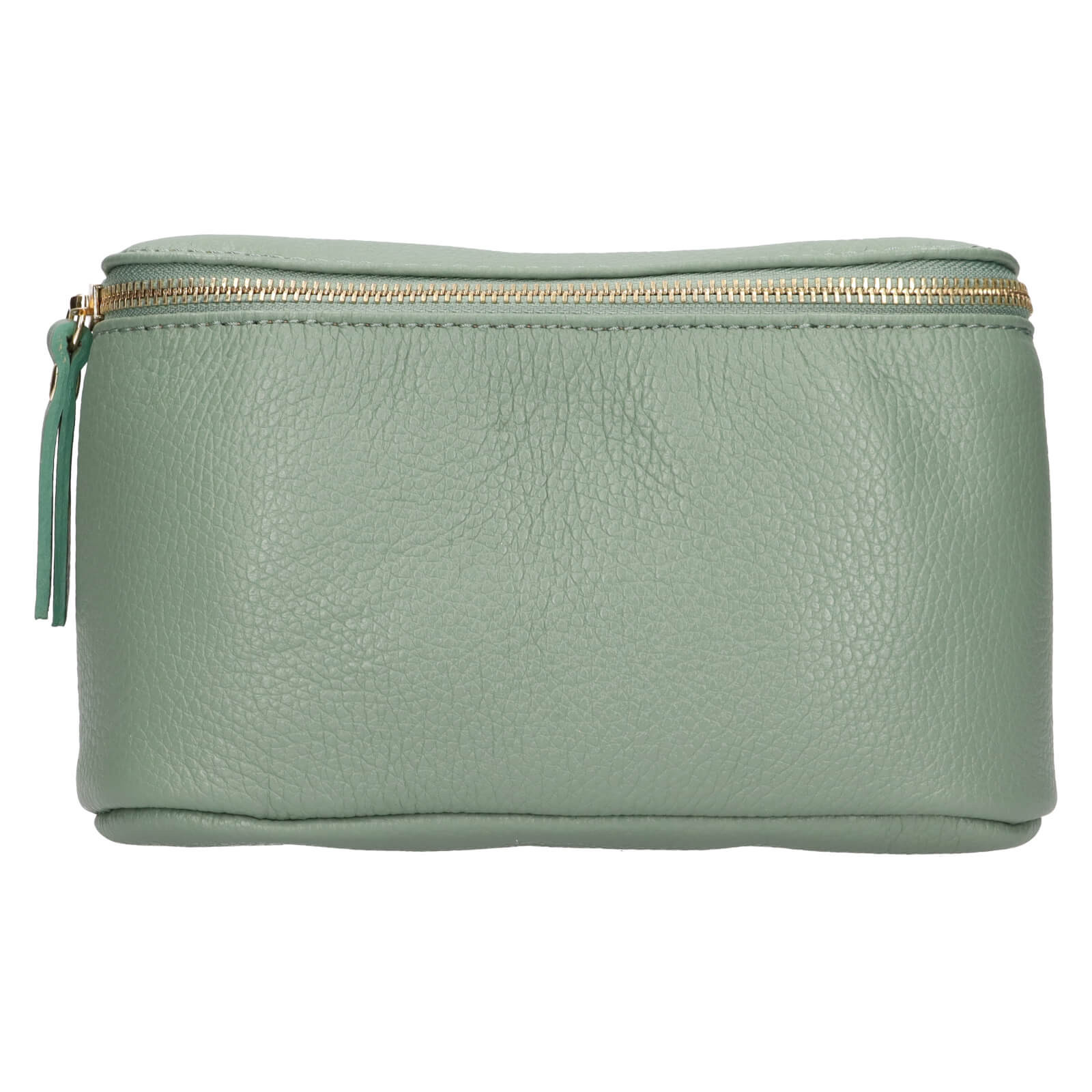 Dámská kožená ledvinka Italia Milagros - zelená