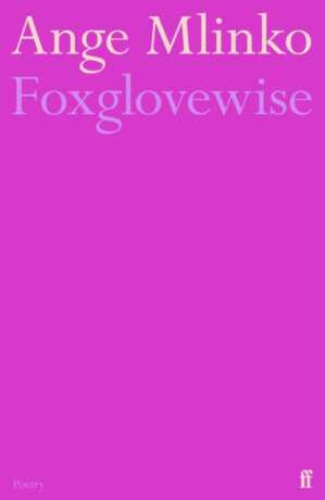 Foxglovewise - Ange Mlinko