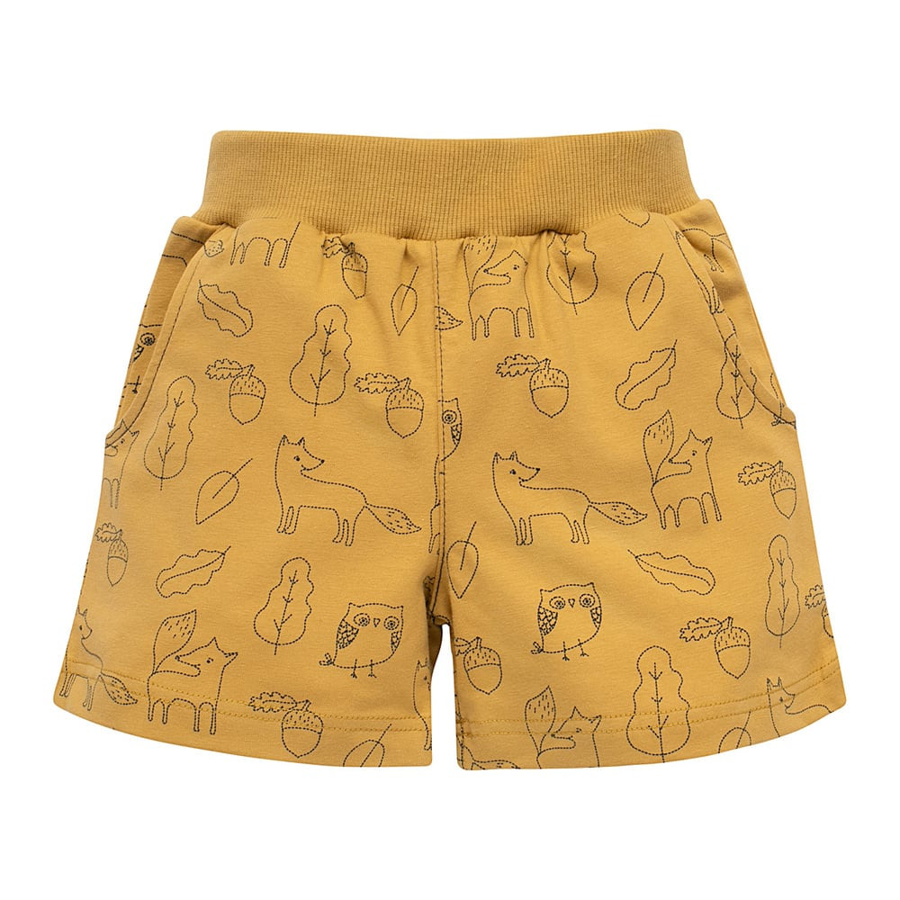 Pinokio Shorts Secret Forest