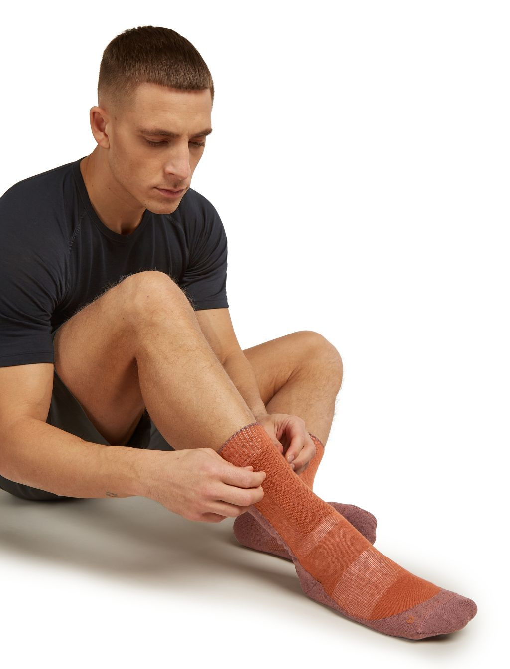 ICEBREAKER Mens Mer Hike+ MediuMens Crew, Dusty Clay/Carob (vzorek) velikost: M