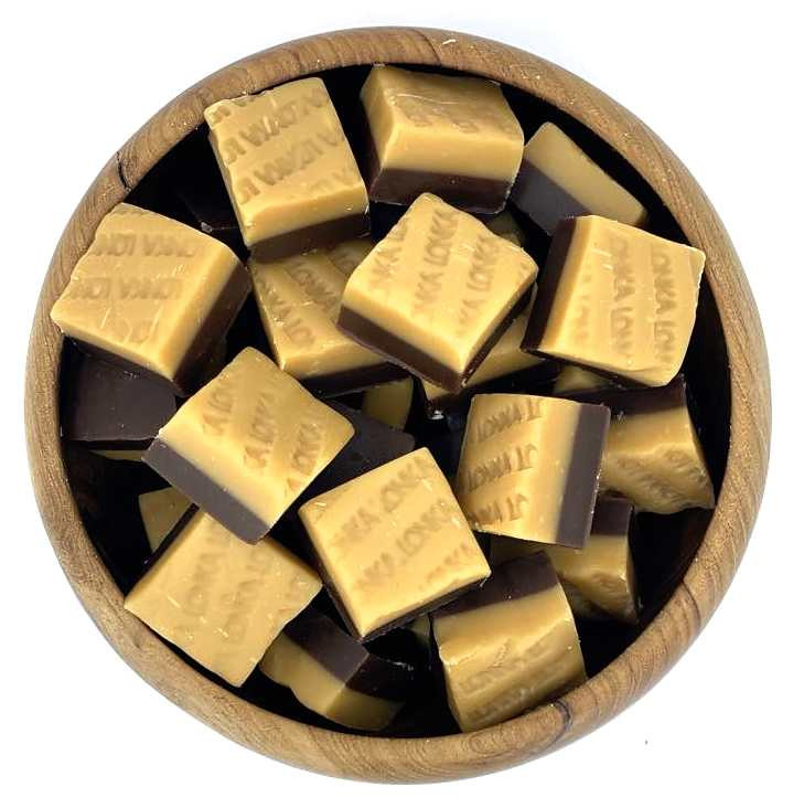 Zdravoslav Karamelový fondán vanilka a čokoláda 250 g