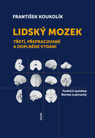 Lidský mozek - František Koukolík - e-kniha