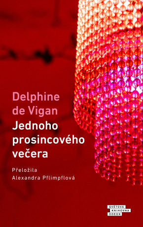 Jednoho prosincového večera - Delphine de Vigan - e-kniha