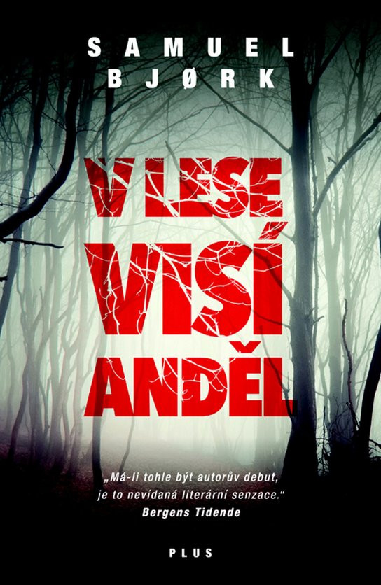 V lese visí anděl (brož.)