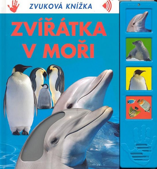 Zvířátka v moři