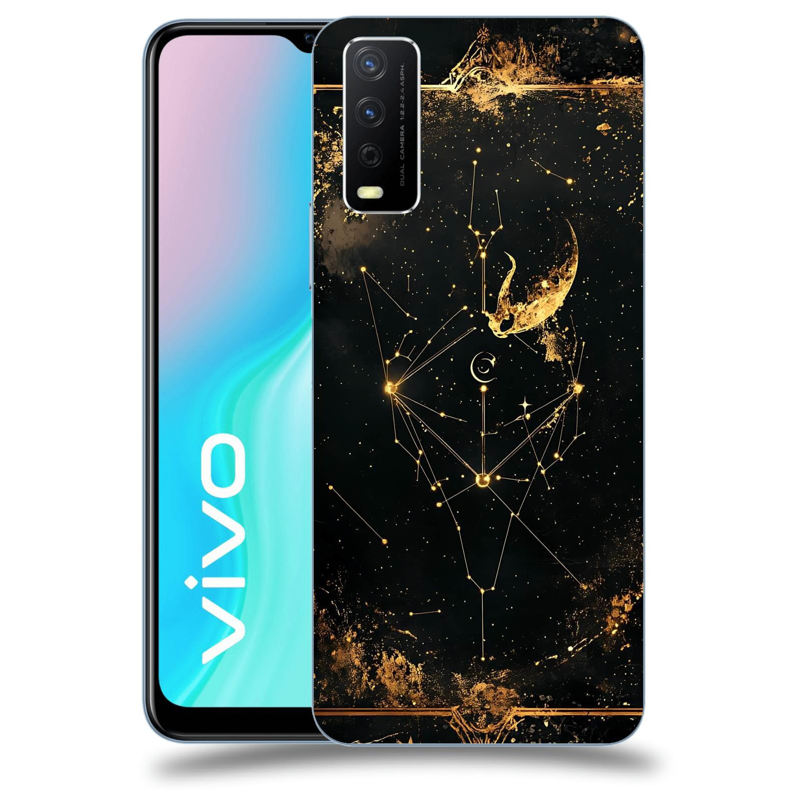 ACOVER Kryt na mobil Vivo Y11s - Blíženci