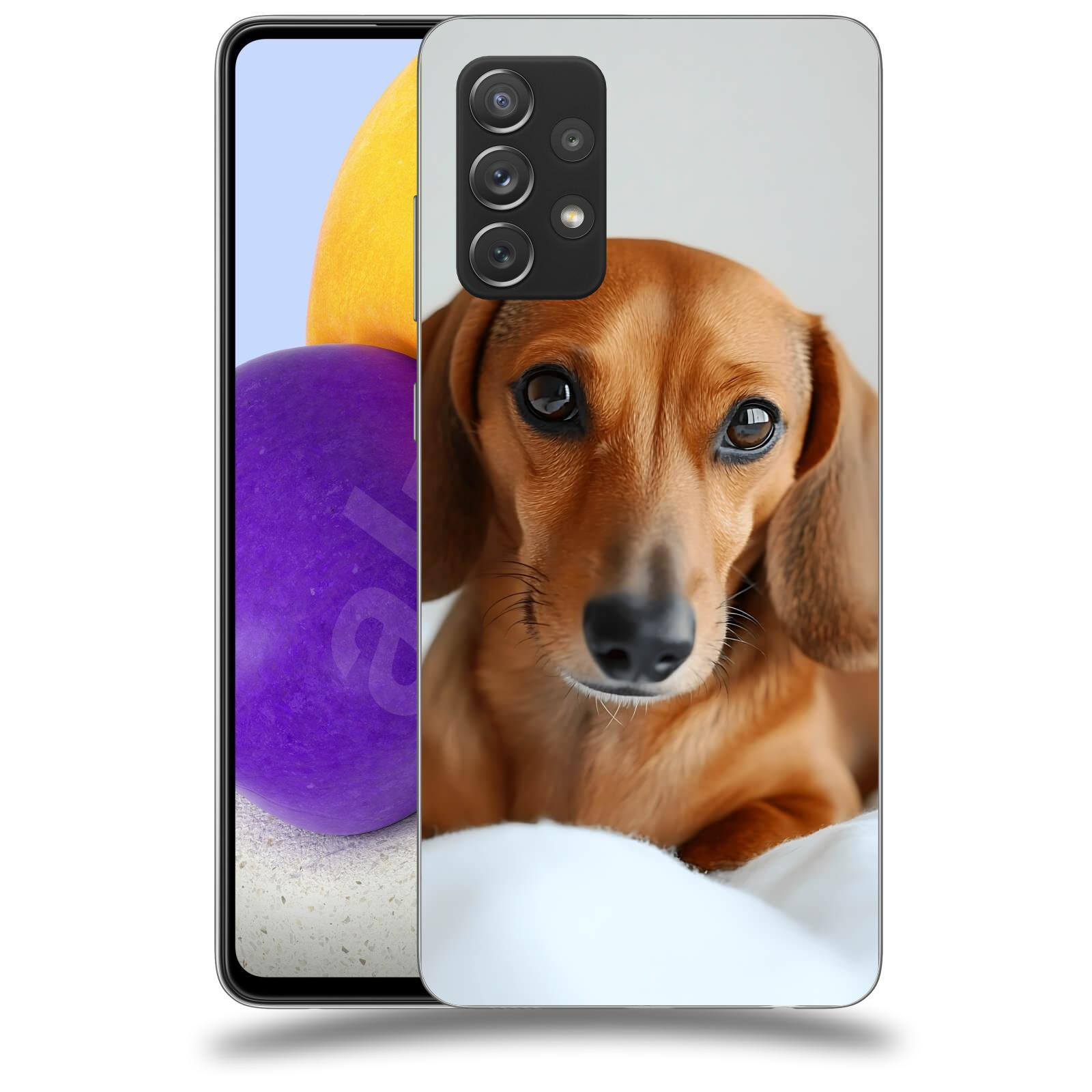 ACOVER Kryt na mobil Samsung Galaxy A73 5G - Dachshund II