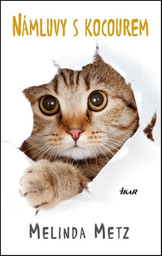Námluvy s kocourem