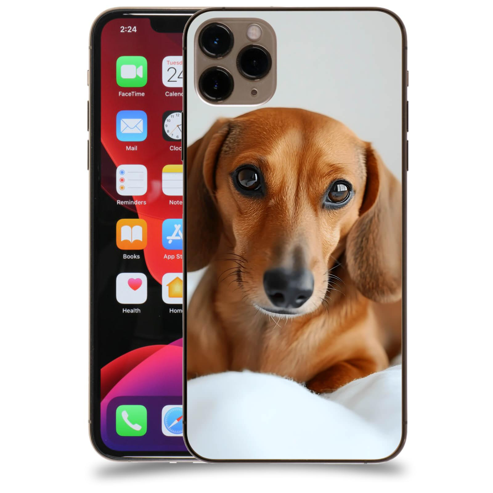 ACOVER Kryt na mobil Apple iPhone 11 Pro Max - Dachshund II