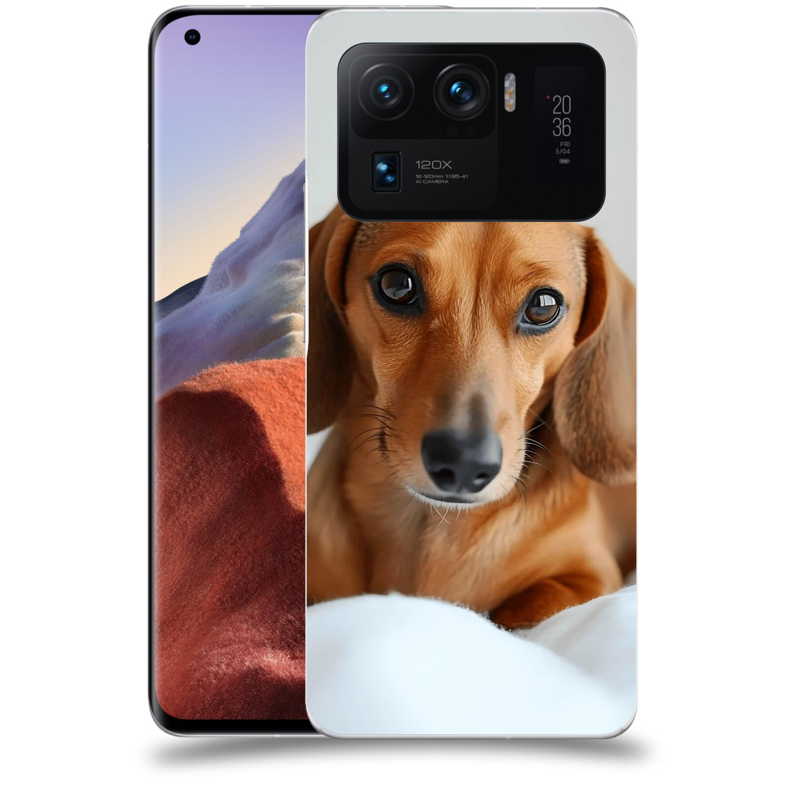 ACOVER Kryt na mobil Xiaomi Mi 11 Ultra - Dachshund II