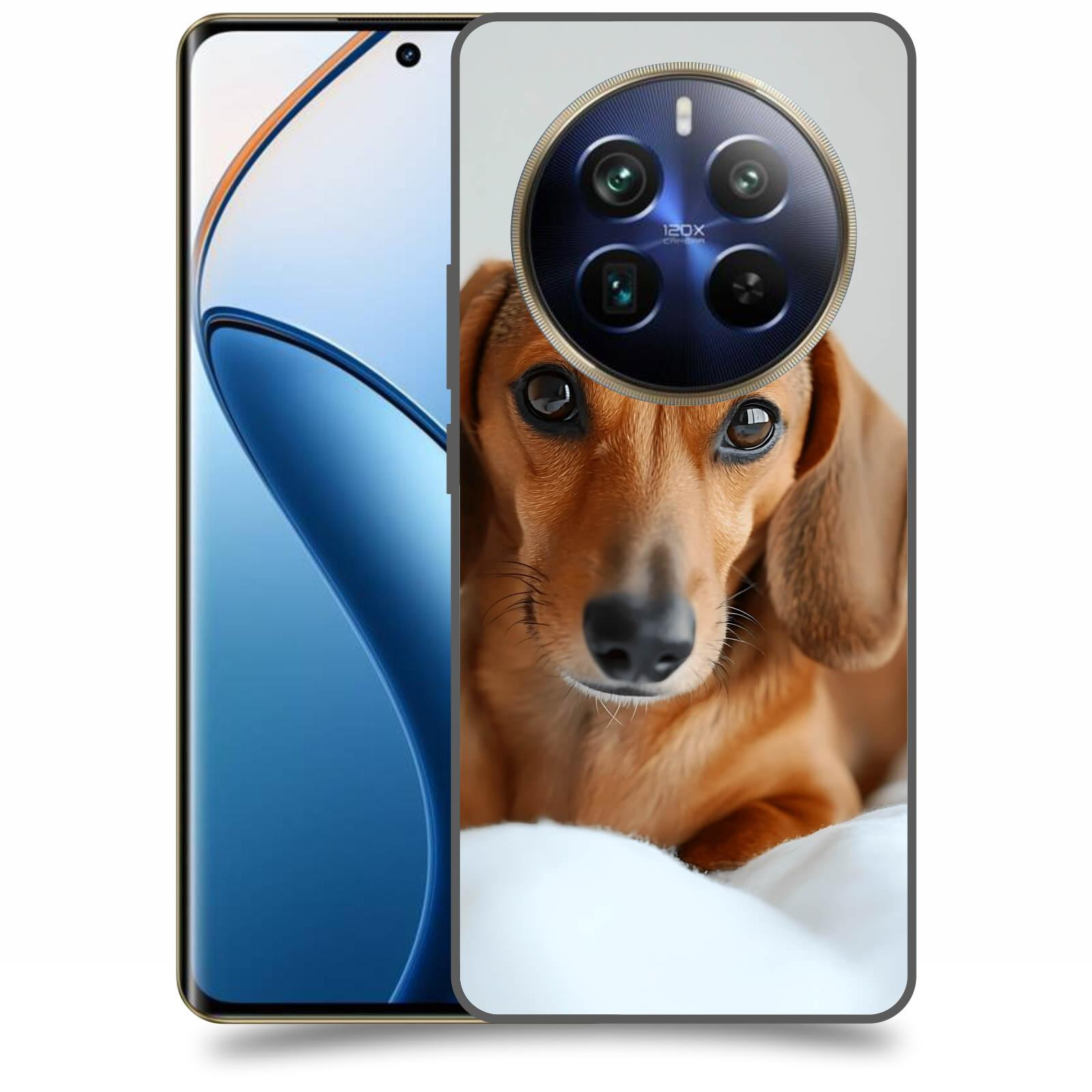 ACOVER Kryt na mobil Realme 12 pro+ 5g - Dachshund II