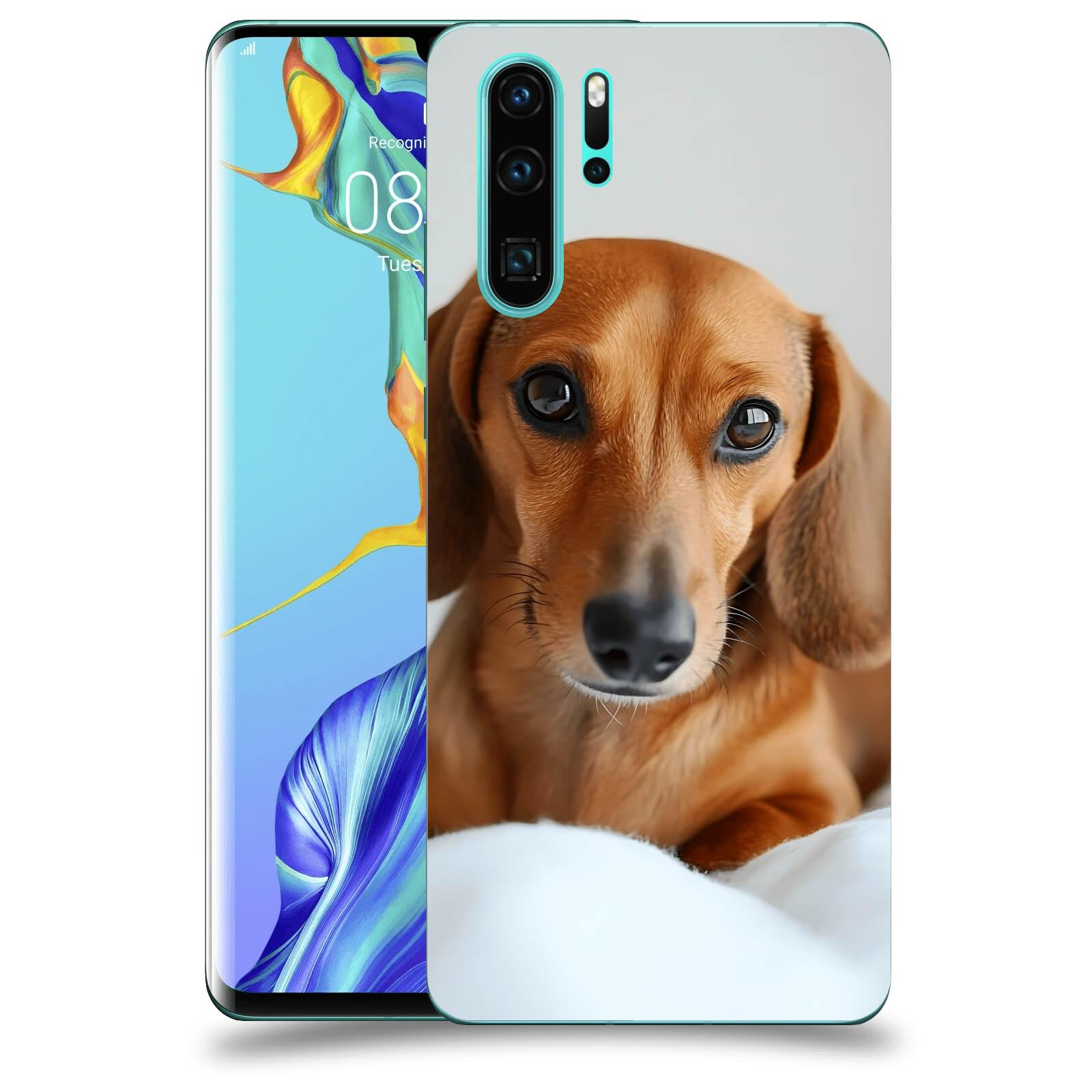 ACOVER Kryt na mobil Huawei P30 Pro - Dachshund II