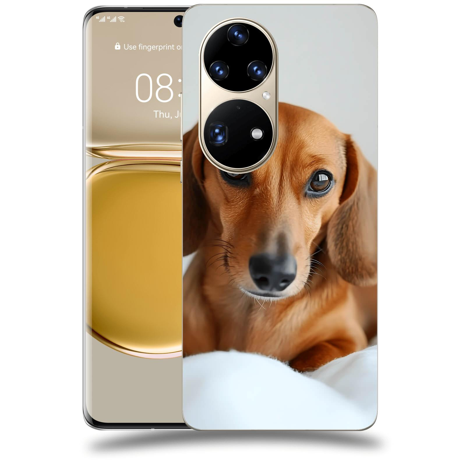 ACOVER Kryt na mobil Huawei P50 - Dachshund II
