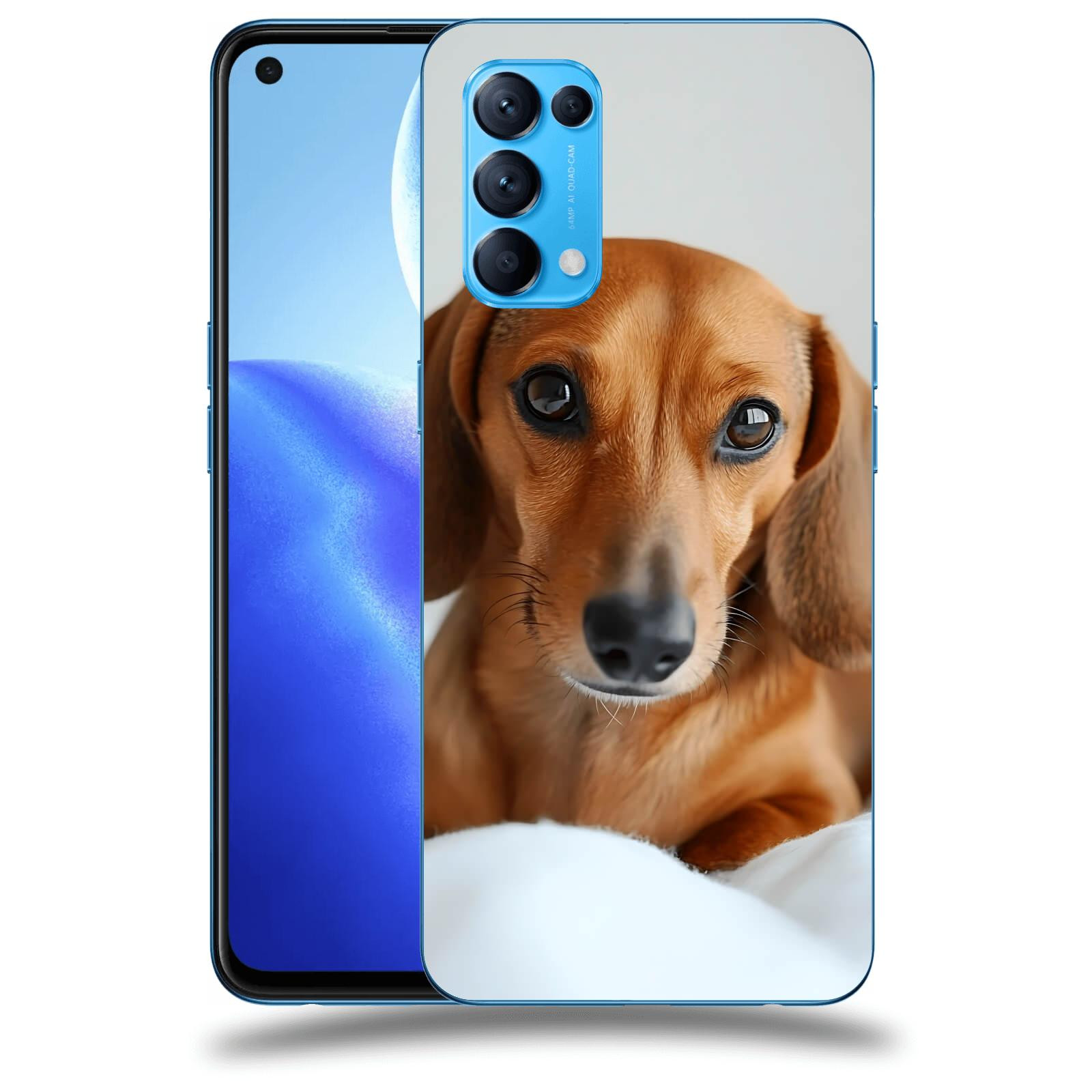 ACOVER Kryt na mobil OPPO Reno 5 5G - Dachshund II