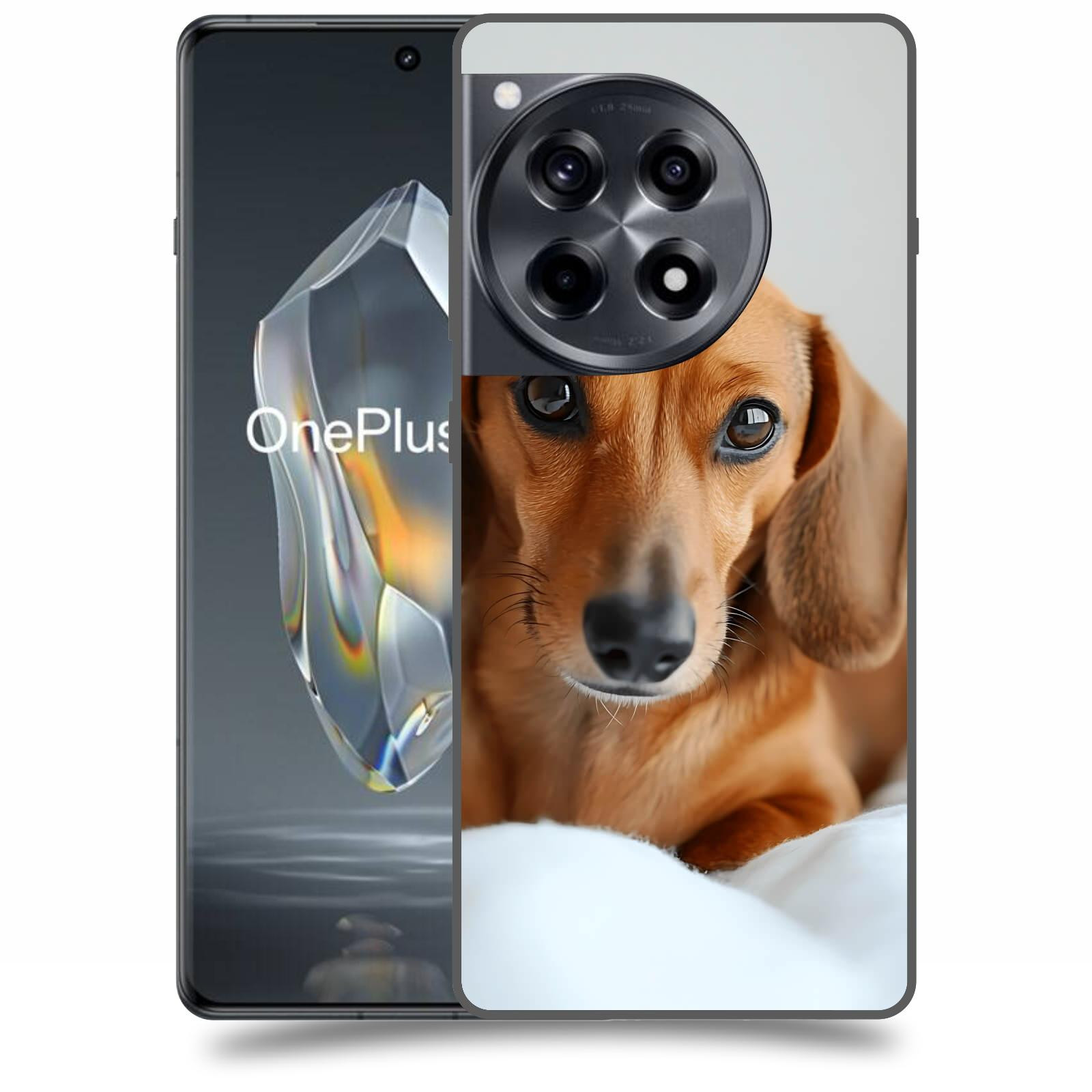 ACOVER Kryt na mobil OnePlus 12 - Dachshund II