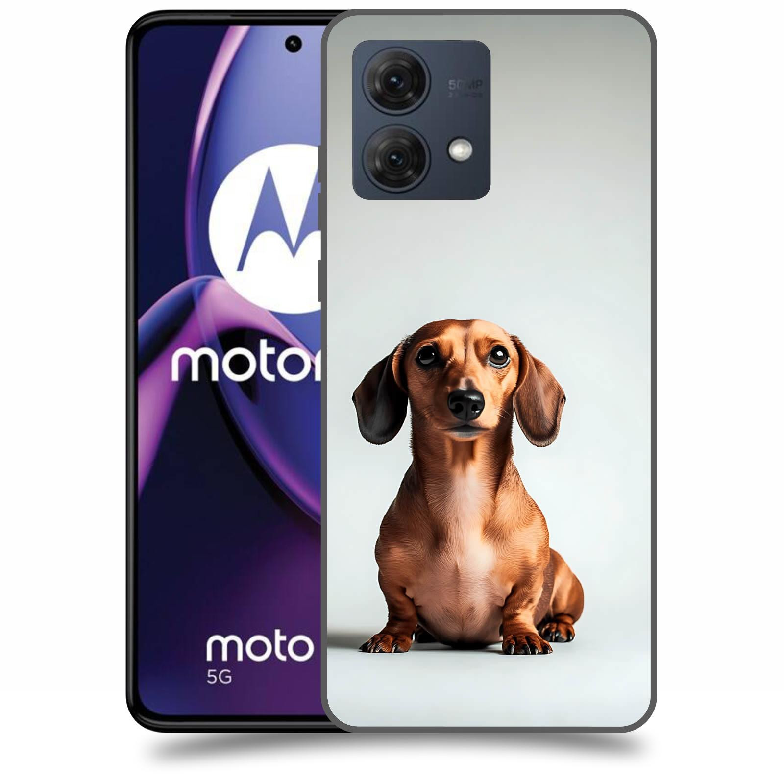 ACOVER Kryt na mobil Motorola Moto G84 5G - Dachshund III