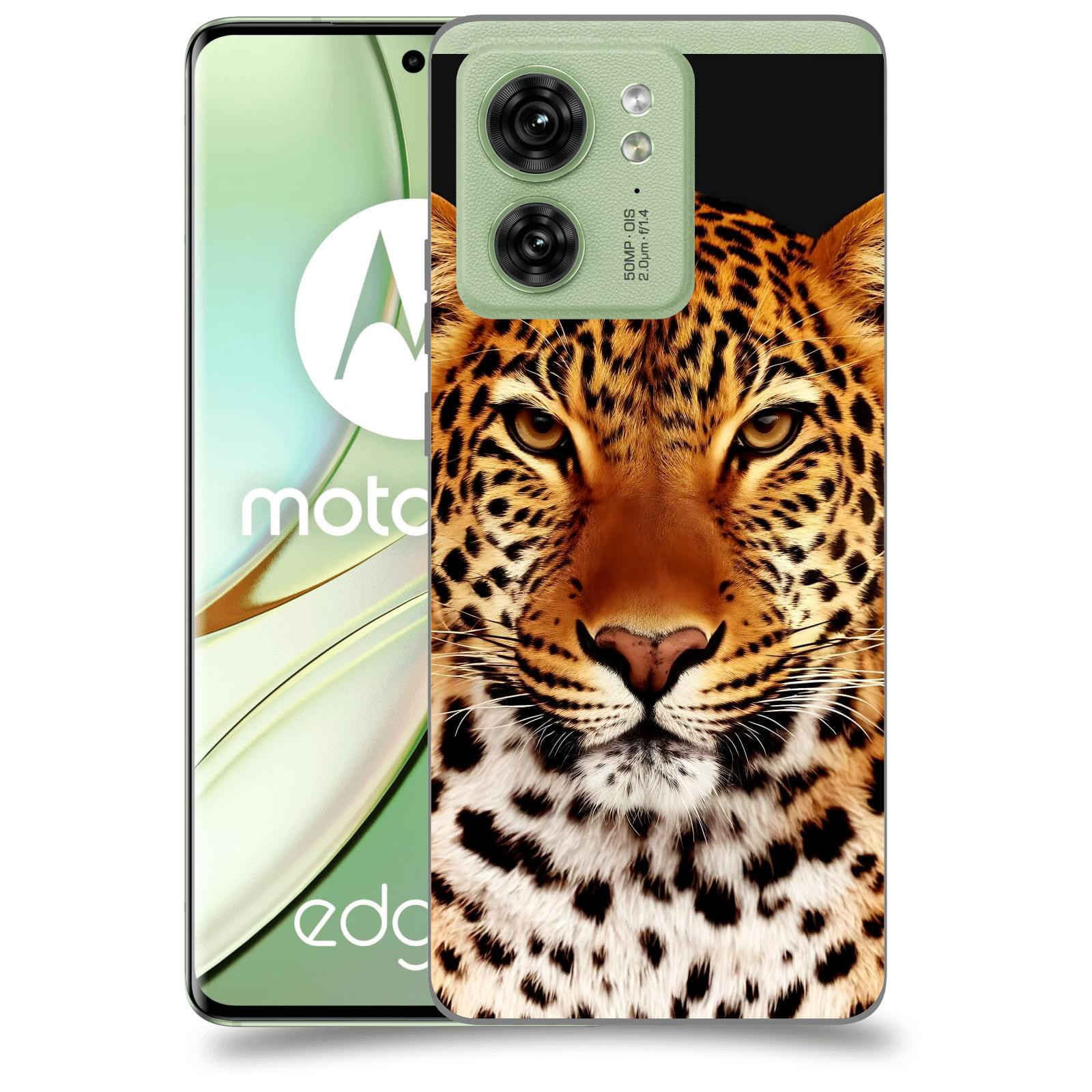 ACOVER Kryt na mobil Motorola EDGE 40 5G - Leopard