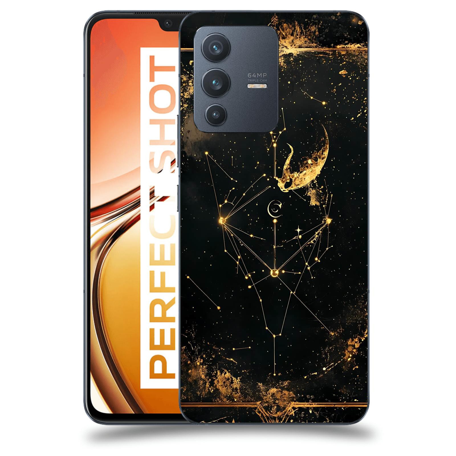 ACOVER Kryt na mobil Vivo V23 5G - Blíženci