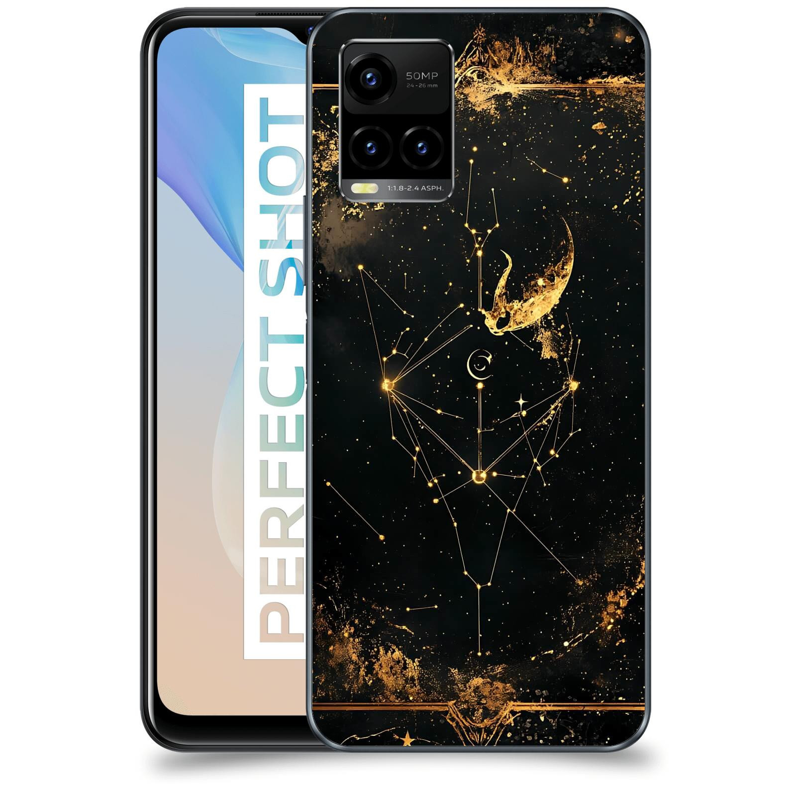 ACOVER Kryt na mobil Vivo Y33s - Blíženci