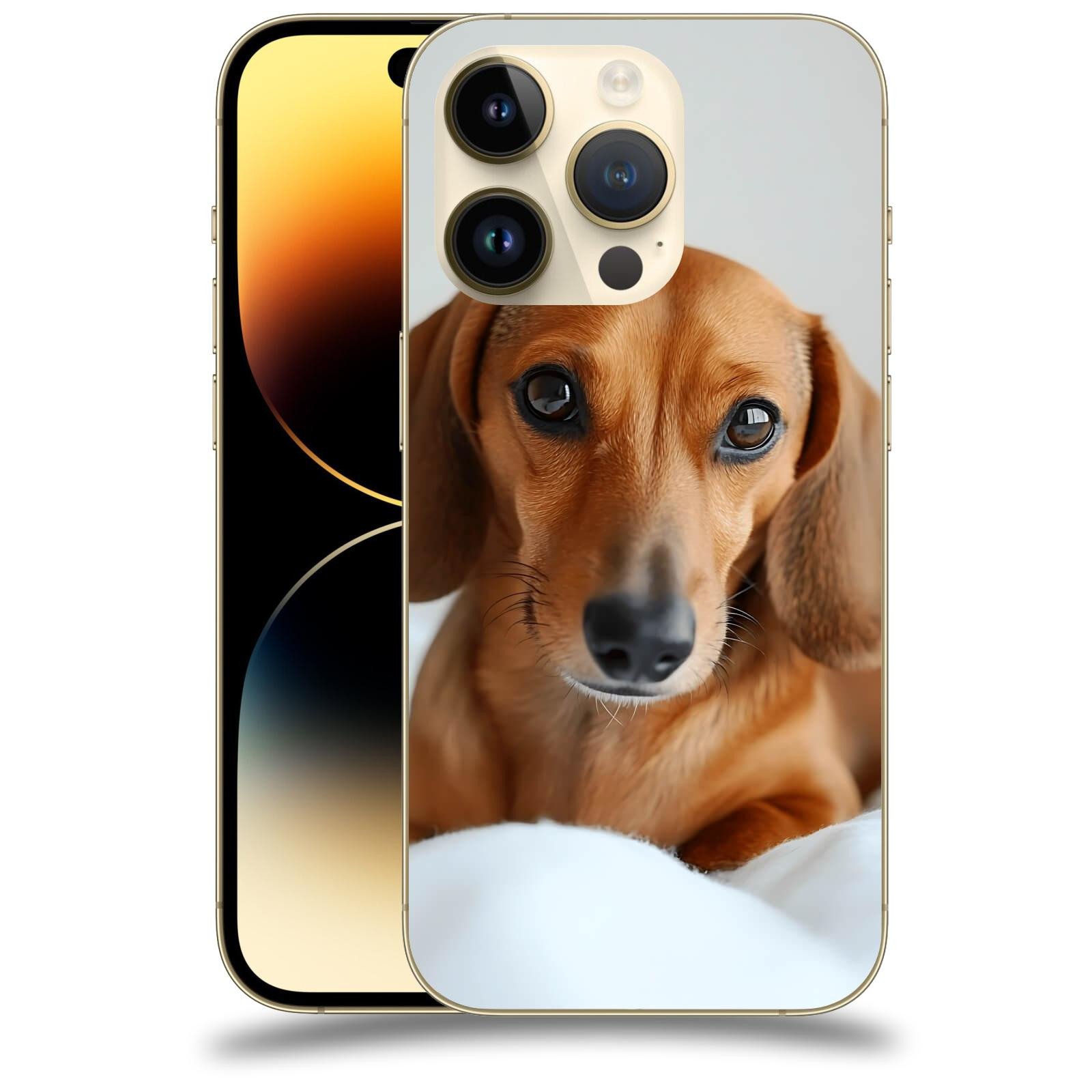 ACOVER Kryt na mobil Apple iPhone 14 Pro - Dachshund II