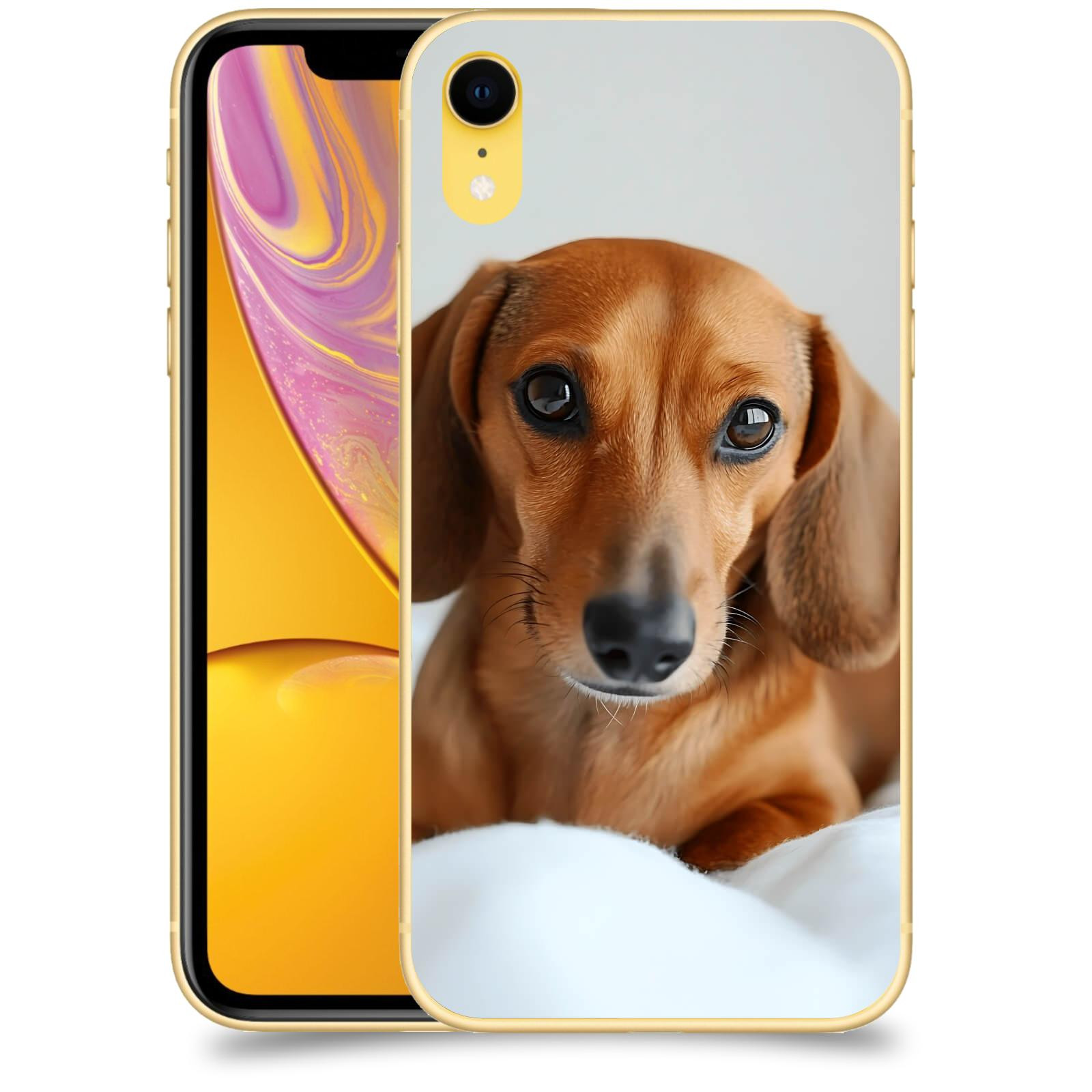 ACOVER Kryt na mobil Apple iPhone XR - Dachshund II