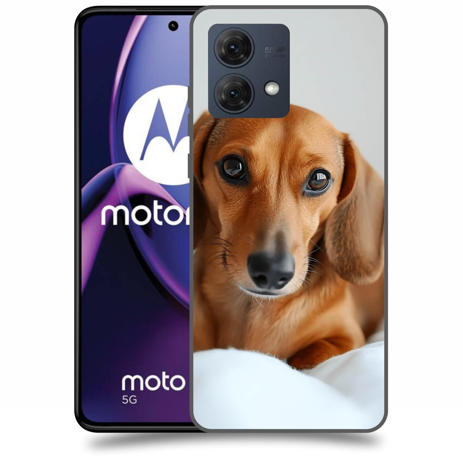 ACOVER Kryt na mobil Motorola Moto G84 5G - Dachshund II