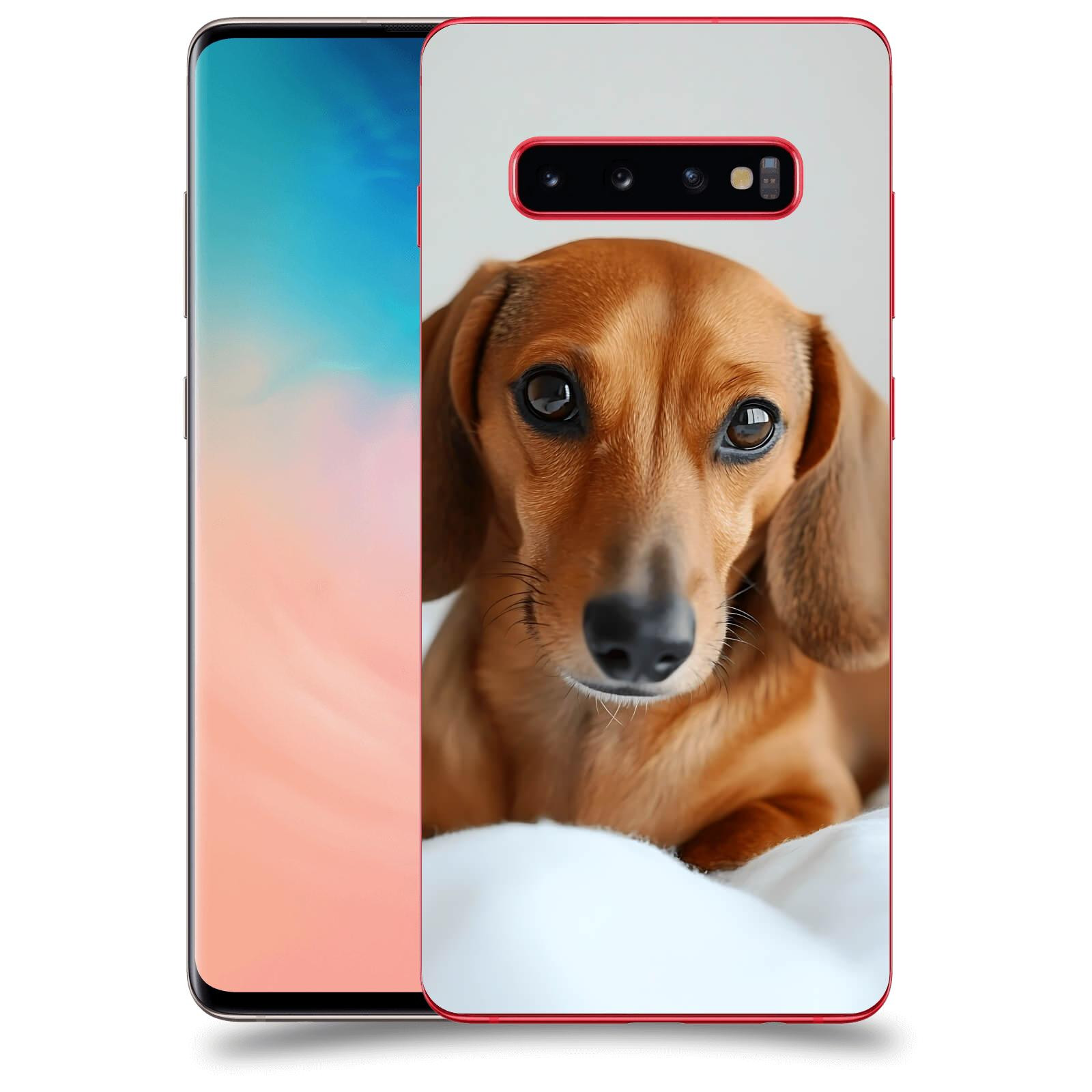 ACOVER Kryt na mobil Samsung Galaxy S10 Plus G975 - Dachshund II