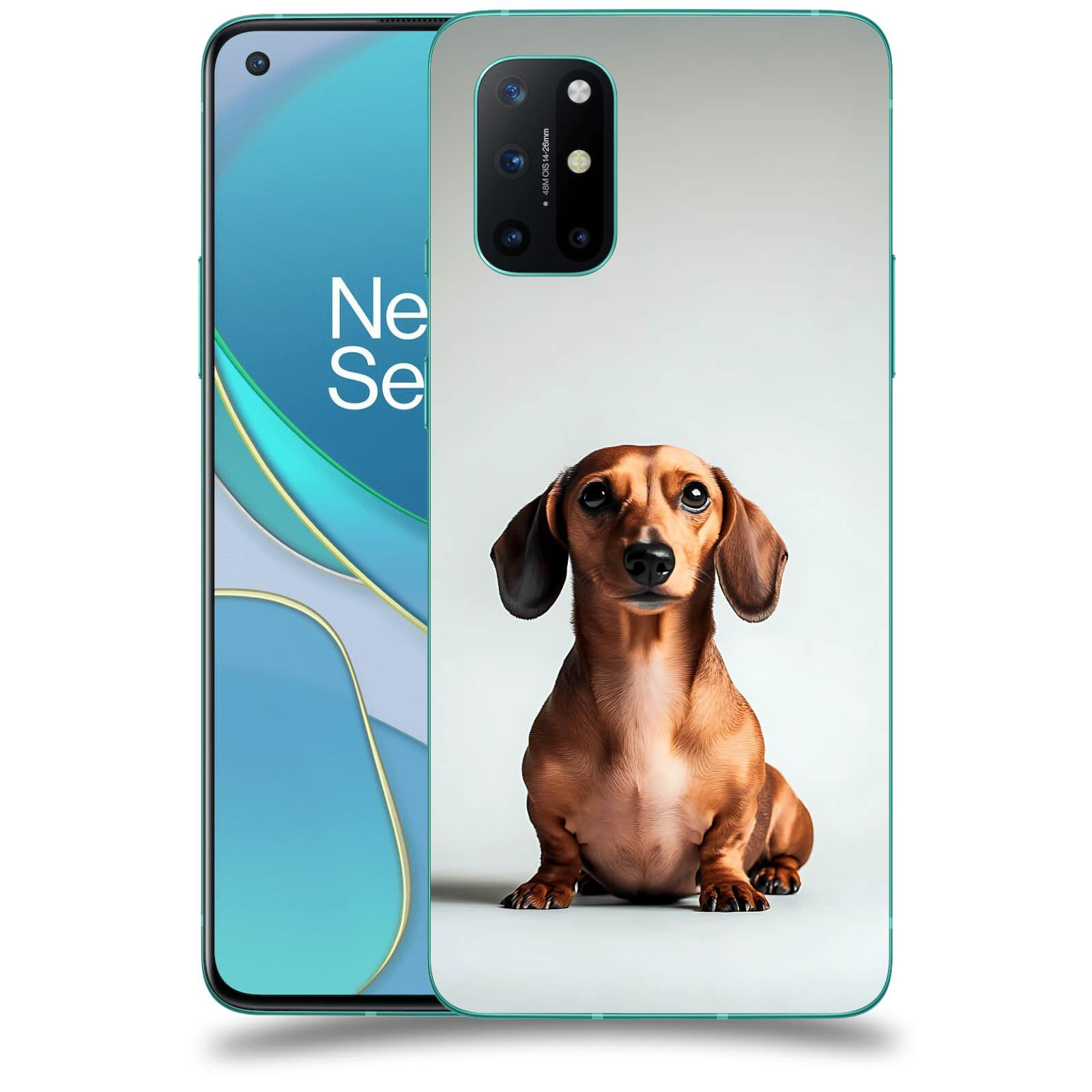 ACOVER Kryt na mobil OnePlus 8T - Dachshund III
