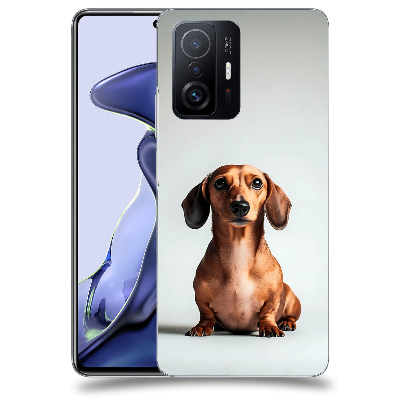 ACOVER Kryt na mobil Xiaomi 11T - Dachshund III