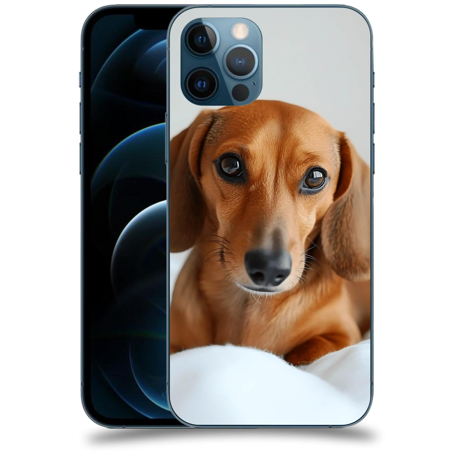 ACOVER Kryt na mobil Apple iPhone 12 Pro - Dachshund II
