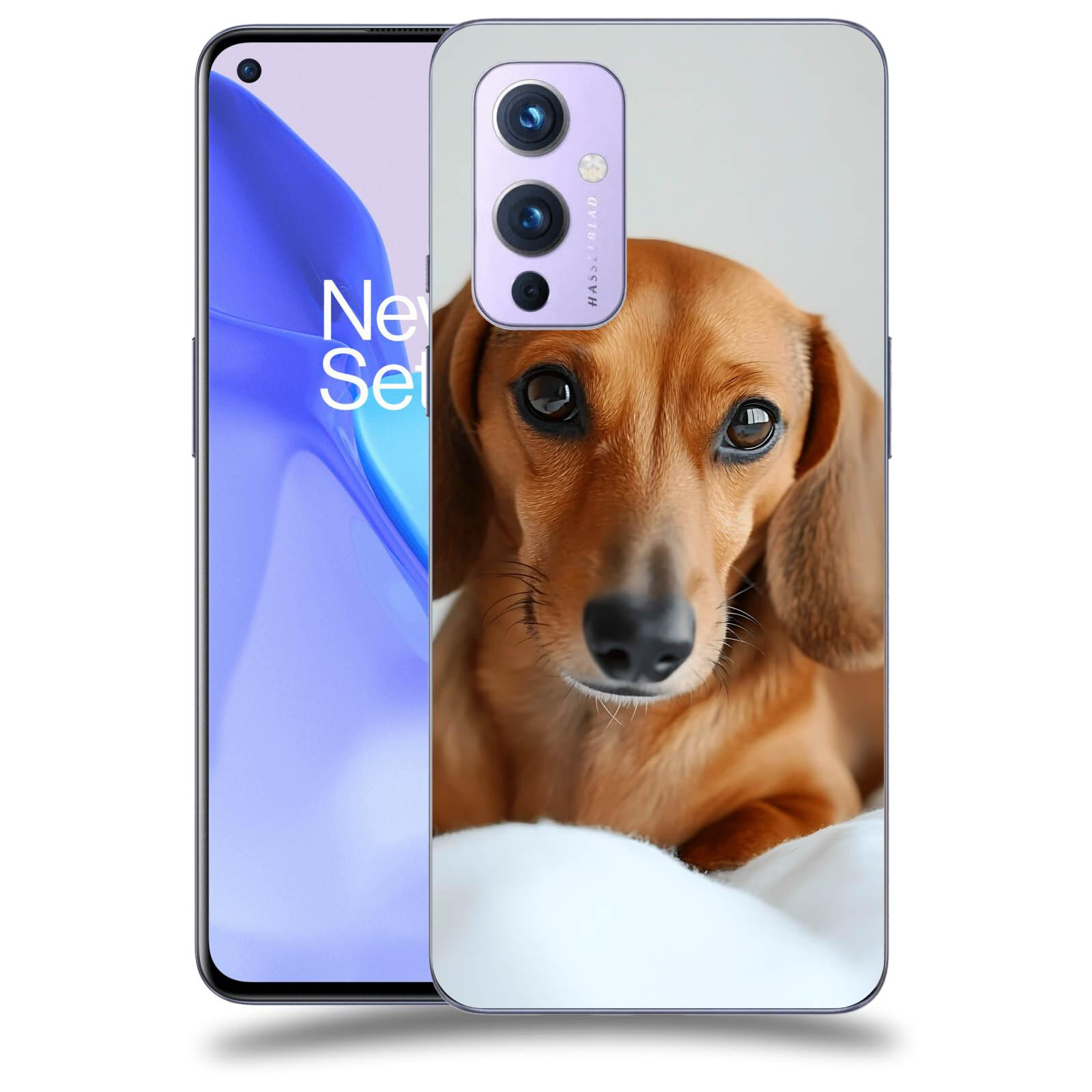 ACOVER Kryt na mobil OnePlus 9 - Dachshund II