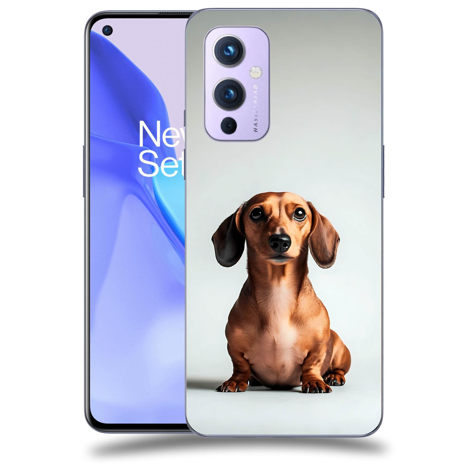 ACOVER Kryt na mobil OnePlus 9 - Dachshund III